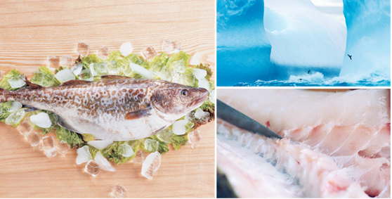Ocean Gala 海鲜盛宴 冷冻阿拉斯加黄金鲽鱼 1kg 2-3条￥19.9 双重优惠低至￥13
