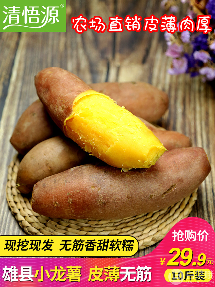 清悟源 农家自种红心小香薯 9斤19.9元包邮（需用券）