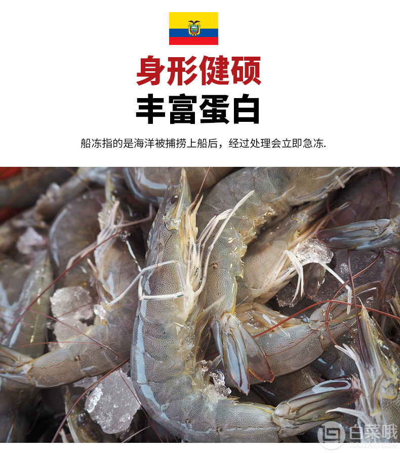 爱吃鱼 厄瓜多尔进口白虾1500g 约60~80头78元包邮（双重优惠）