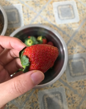 田小七 新鲜红颜奶油草莓 3斤新低59.8元包邮（需领券）