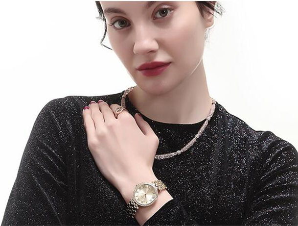 Anne Klein 安妮·克莱因 AK/2231SVRT 女士罗马数字镶钻石英表新低320.54元