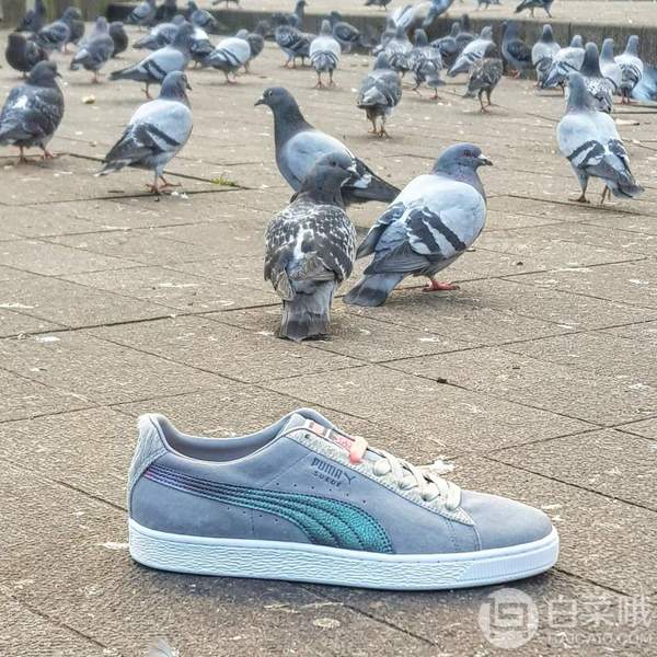 PUMA 彪马 x Staple Pigeon 鸽子 联名 复古休闲鞋板鞋 36633401199元包邮（需领券）