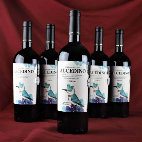 Andes 安第斯 翠鸟珍藏级14度 干红葡萄酒 750ml*6支228元包邮（多重优惠）
