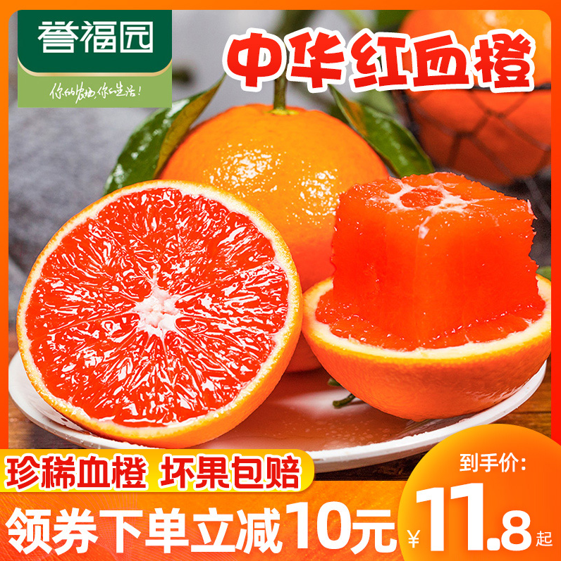 誉福园 湖北秭归脐橙 中华红血橙 3斤9.9元包邮（双重优惠）