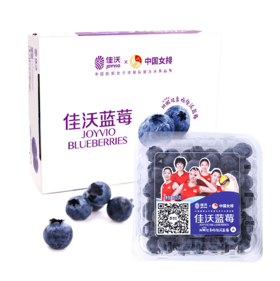 Joyvio 佳沃 国产蓝莓A级 125g*12盒119元包邮（需领券）