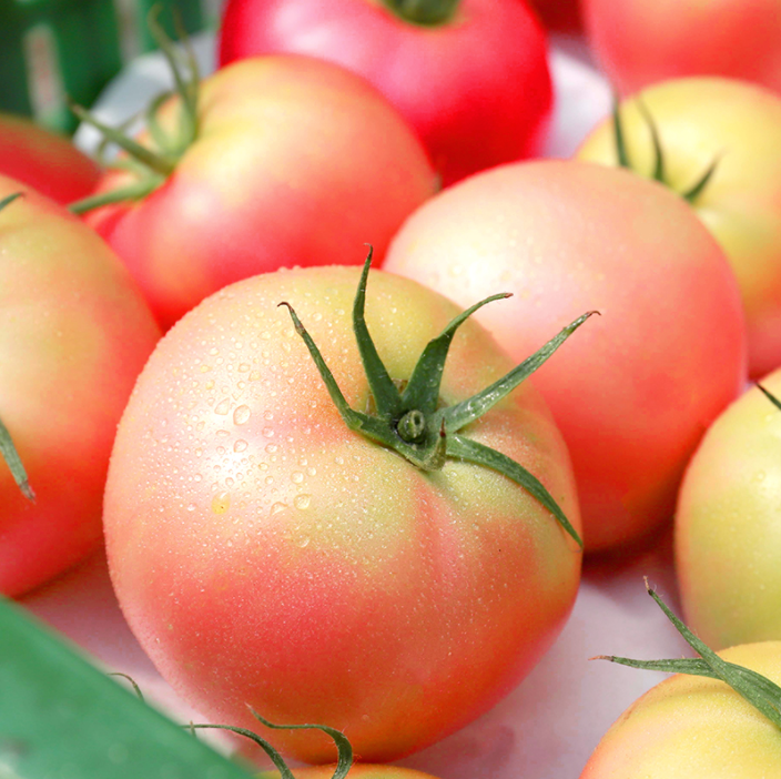 绿行者 桃太郎 青粉番茄新鲜西红柿5斤19.9元包邮（需领券）