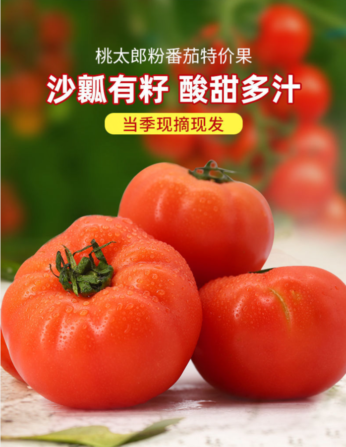 绿行者 桃太郎粉番茄新鲜西红柿5斤29.9元包邮（需领券）