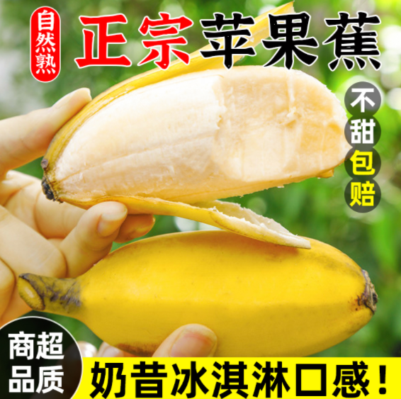 譽(yù)福園 正宗蘋果蕉香蕉 5斤26.8元包郵（需領(lǐng)券）
