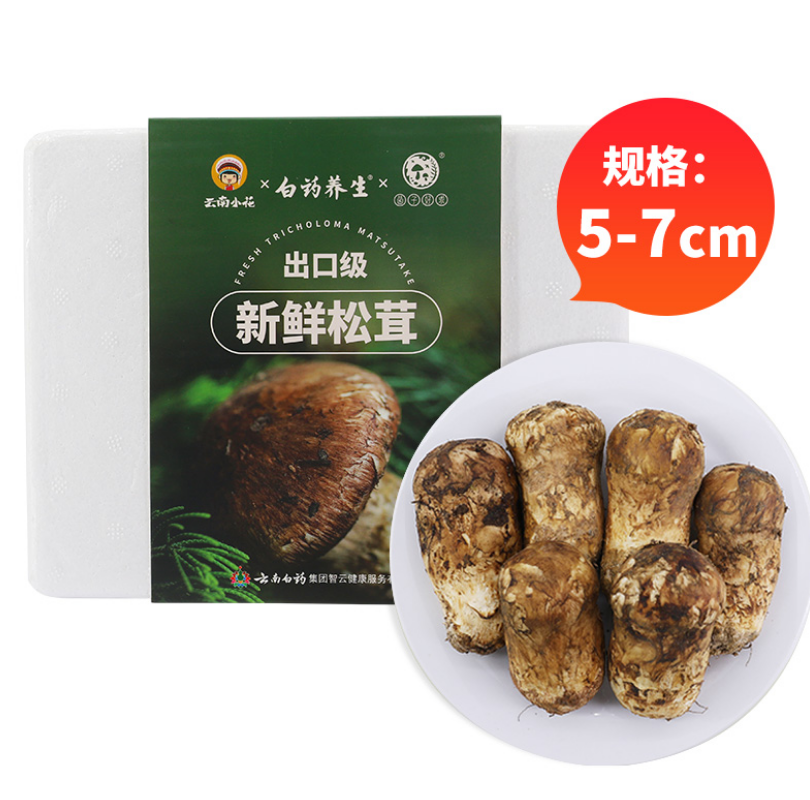 云南白药官方出品，云南特产 鲜松茸菌菇（5-7cm）250g203元包邮（双重优惠）