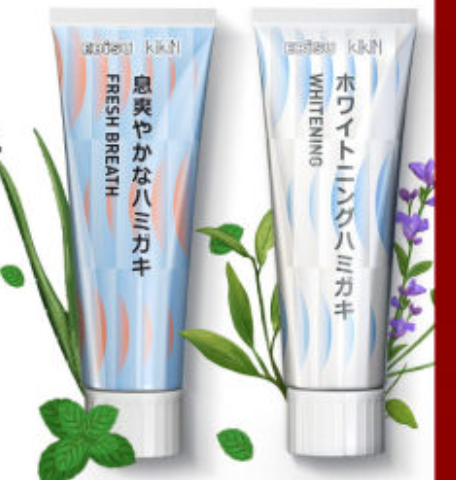 日本进口，EBISU 惠百施 植萃系列牙膏 100g*3支 赠牙刷一支59.9元包邮（需领券）
