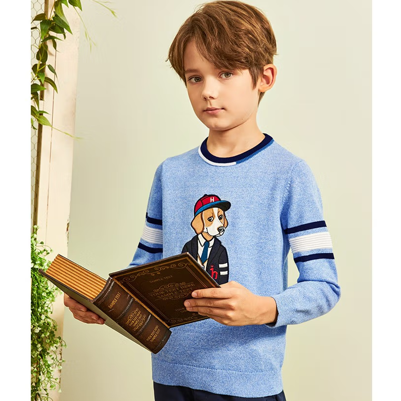 Hazzys 哈吉斯 男童圆领毛衣（105-165cm码） 两色新低99元包邮（需领券）