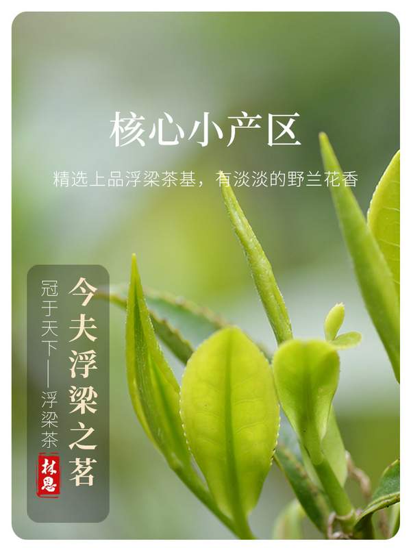 全国农产品地理标志，林恩 赣风茶韵茉莉翠绿茉莉花茶罐装 100g39元顺丰包邮（需领券）