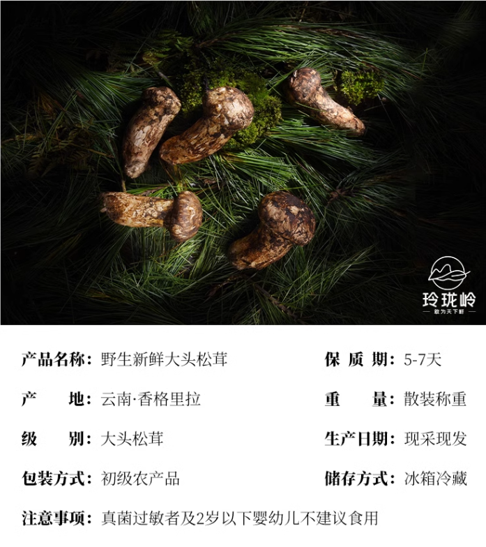 云南香格里拉出品，玲珑岭 出口级鲜松茸菌菇（9cm以上）500克新低209元顺丰包邮（下单立减）