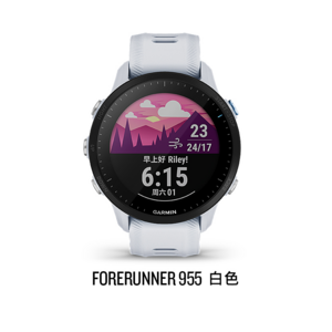 GARMIN 佳明 Forerunner 955 铁人三项运动手表