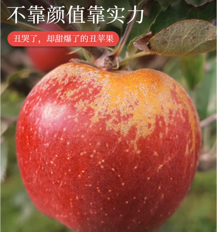 誉福园 四川大凉山丑苹果盐源富士（超大85-90mm）9斤60.8元包邮（6.7元/斤）