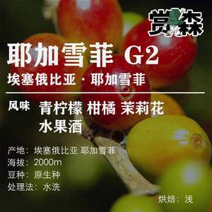 赏森 埃塞俄比亚 耶加雪菲 G2 水洗咖啡豆 200g