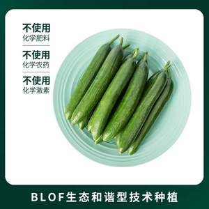 百果园旗下蔬菜品牌，三个零 新鲜水果黄瓜 5斤装