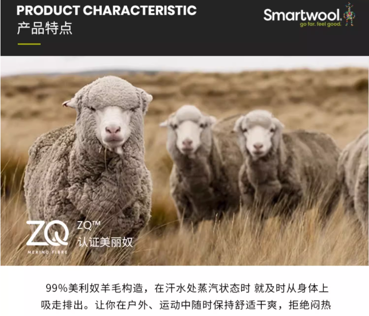 Smartwool 美利奴羊毛 Merino 250系列 男士防寒羊毛保暖长袖打底衫424元（天猫1349元）