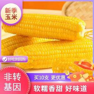 吉林省农投旗下品牌，农投康良 头茬鲜糯玉米 250g*8棒真空包装