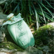 古越龍山 八年陳花雕 500ml*6瓶