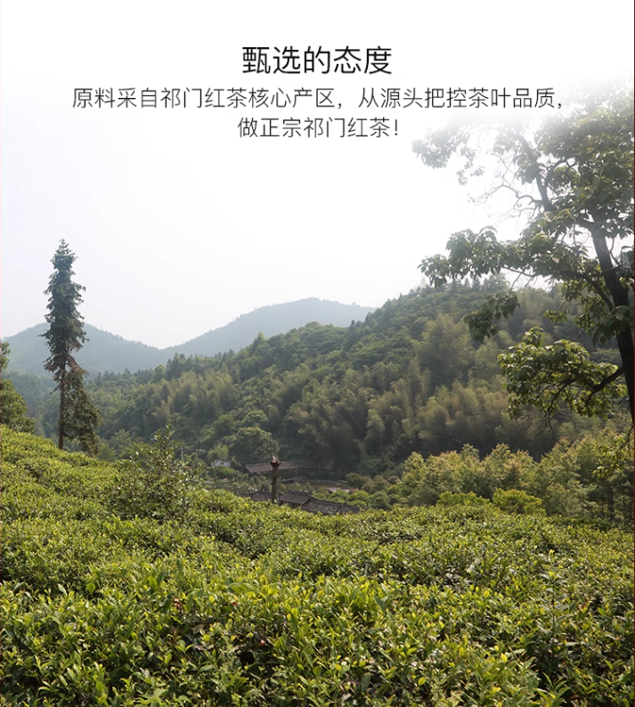杭州亚运会指定用茶，艺福堂 EFU10+浓香型祁门工夫红茶 100g*2罐36.51元包邮（需领券）
