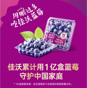 Joyvio 佳沃 云南蓝莓（超大果18+mm）125g*12盒 