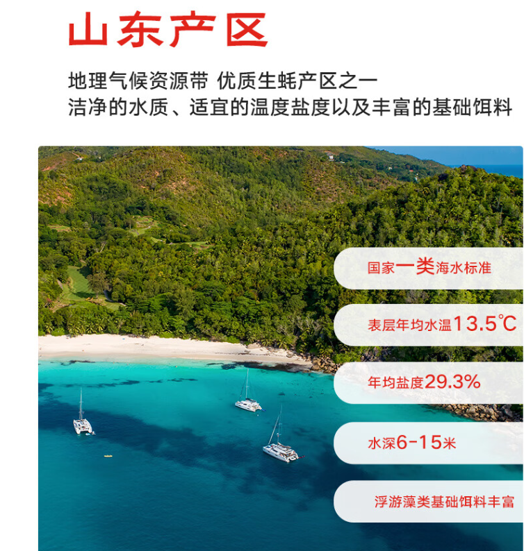 京鲜港 山东产鲜活生蚝 净重3斤（15-20只装/单只70g起）19.9元包邮（双重优惠）