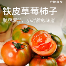 京地达 山东铁皮草莓西红柿番茄柿子 单果30g+/4.5斤