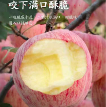 全国农产品地理标志产品，猗浩鲜果园 山西临猗红富士苹果 4.5斤/95mm以上