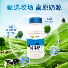 小西牛 青海純牛奶 243mL*12瓶*2箱 
