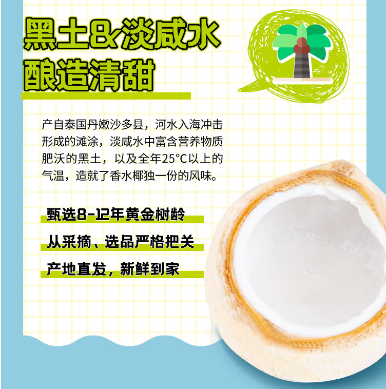 Goodfarmer 佳农 泰国香水椰青椰子 9个原箱装 (单果900g以上) 赠开椰器+吸管78.7元包邮（8.7元/个）