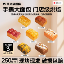 熊治 蟹黄黑金吐司/椰皇椰丝土司等7款 250g/袋*2件