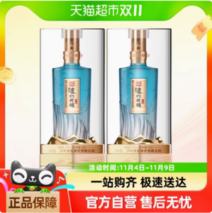 瀘州老窖出品 瀘州特釀 共賞 52度濃香型白酒 500mL*2瓶