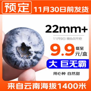 京東自營(yíng)，京鮮生 云南藍(lán)莓（22mm+）125g*12盒裝