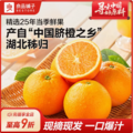 良品铺子 2025新果 助农正宗伦晚脐橙秭归橙子 5斤（65-75mm）