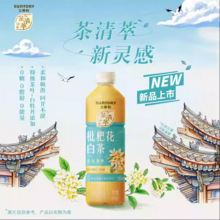 Suntory 三得利 茶清萃 无糖枇杷花白茶 500ml*15瓶