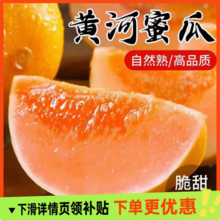 淘宝买菜 黄河蜜瓜 单果400g+/净重4.5-5斤