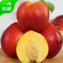 京鲜生 黄肉油桃 单果90g+/净重4.5斤