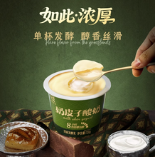 悠纯乳业 认养 奶皮子酸奶厚奶酪低温酸奶 120g*8杯