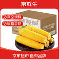 京鲜生 东北黄糯玉米棒 220g*8根