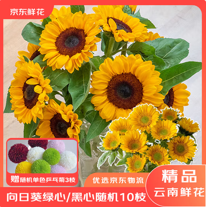 京東鮮花 向日葵鮮切花鮮花10枝+贈3枝乒乓菊22.87元包郵