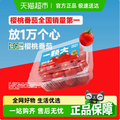 一顆大 櫻桃番茄 458g*4盒裝/共1832g