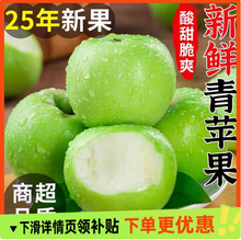 淘寶買菜 2025當(dāng)季新鮮陜西酸脆青蘋果 4.5斤/（50-70mm）