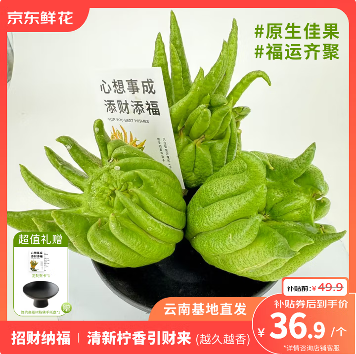 京東鮮花 佛手柑250-300g+高級樹脂托盤+賀卡鮮切枝觀賞套裝新低31.04元包郵
