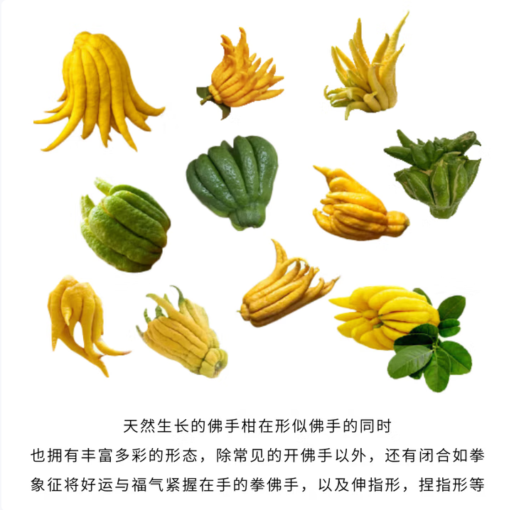 京東鮮花 佛手柑250-300g+高級樹脂托盤+賀卡鮮切枝觀賞套裝新低31.04元包郵