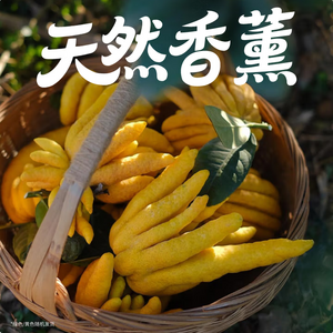京東鮮花 佛手柑250-300g+高級(jí)樹脂托盤+賀卡鮮切枝觀賞套裝 