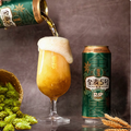 雪花啤酒 高端全麥5號(hào) 500ml*18+3聽(tīng)整箱