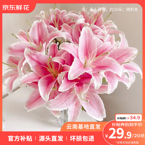 京東鮮花 云南直發(fā) 香水百合鮮花 隨機(jī)色20枝