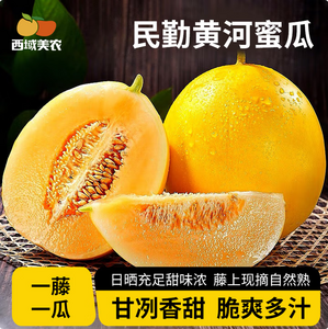西域美農(nóng) 甘肅民勤黃河蜜瓜 凈重9斤（2-3枚）