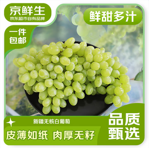 京鲜生 新疆吐鲁番无核白葡萄 马奶无籽提子3.5斤